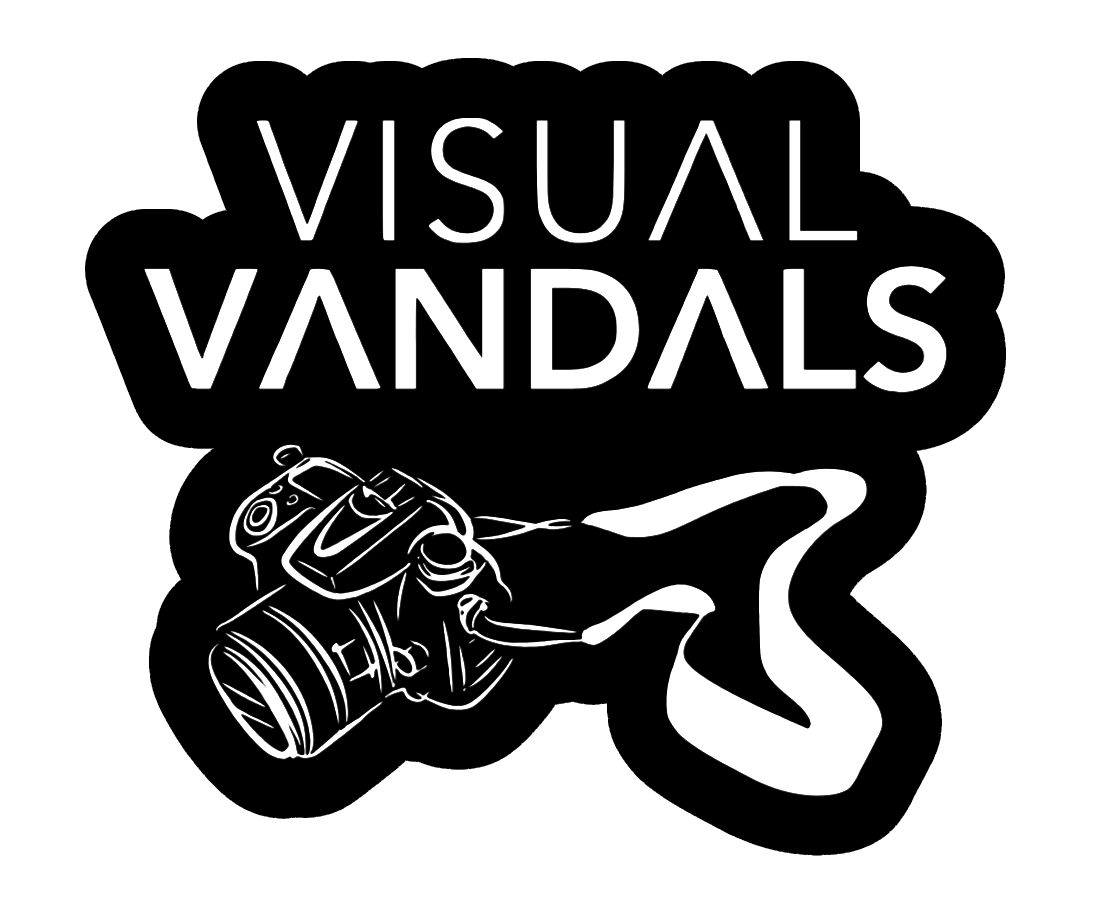 Visual Vandals